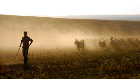 16010984d8ff3ece574fe699bcbb2343